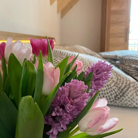 Apfelkroenchen アパート *