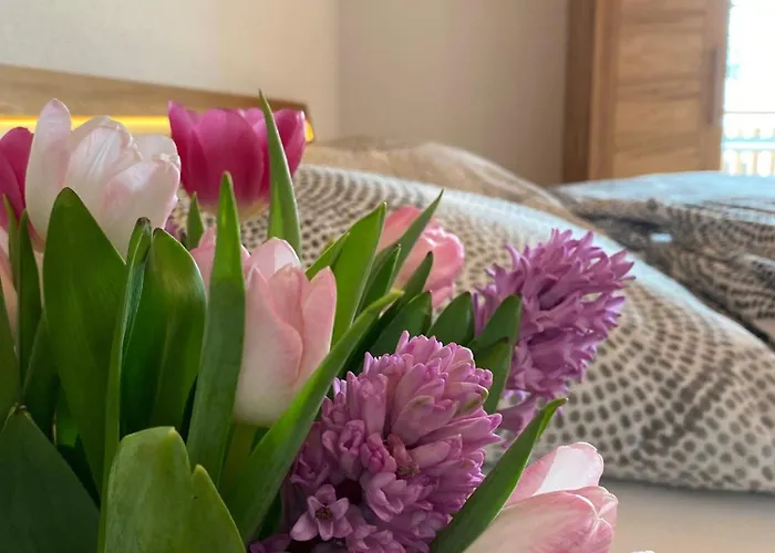 Apfelkroenchen Appartement *